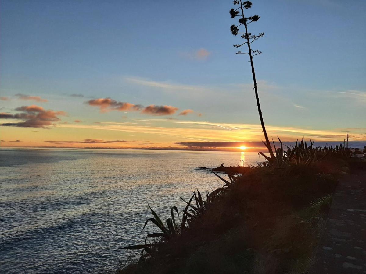 Vila Nikau - Garden By The Sea Лагоа Екстериор снимка