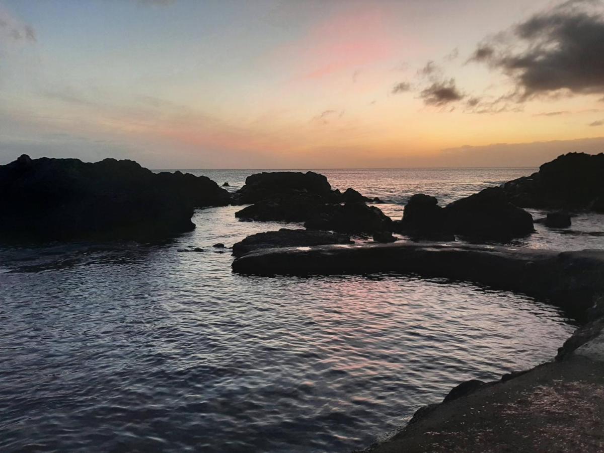 Vila Nikau - Garden By The Sea Лагоа Екстериор снимка