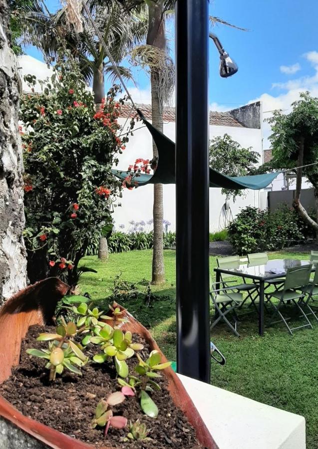 Vila Nikau - Garden By The Sea Лагоа Екстериор снимка